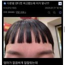 헤어갤.jpg 이미지