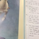 필사우나 이미지