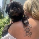 도도동물병원 이미지