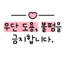 양촌애견 이미지