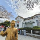 추동로92번길 일부구간(우체국 앞 노상) | 2024.03.30. 봄꽃맞이 대축제~ 진해 군항제를 즐기다! 용지봉자연휴양림(숲속의집4호+5호)
