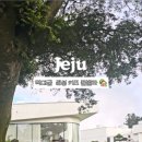 뜨레시옷 | 제주 키즈풀빌라 추천! 뜨레시옷 단독 건물에서 가족 단체여행 완벽 후기