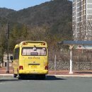 경주 뚜벅이 여행 : 경주 핫플트립 버스투어 : 핫플만 쏙쏙 골라서 여행하기