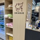 광고처럼 치즈가 늘어나는 동교동맛집 돈까스튀기는형 홍대점 후기