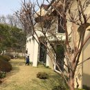 신소미 카카오 검색결과