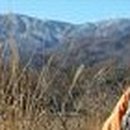 항골농장 이미지