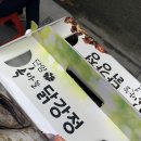 단양마늘만두 이미지