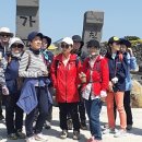 올레캠프본점알파캠프 이미지