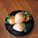 술먹는놈안주먹는놈돈내는놈 | 후쿠오카 호텔 추천, 그랜드 하얏트 스위트룸 후기 (라운지 조식 카이센동 미쳤다)