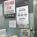 부산 정관 만두 맛집 ‘진만두가’ 방문 후기 – 촉촉한 수제 만두 &amp; 찐빵 먹고 왔어요!