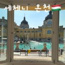 Wellness Gym | 부다페스트 헝가리 여행🇭🇺#2 | 세체니 온천 온라인 예매/가격/싸게 가는 법/준비물/오픈런/후기