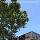 대풍공인중개사사무소 이미지