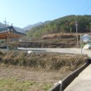 보성강7 이미지