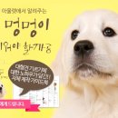 알아 이미지