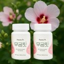 안동무궁화 이미지