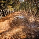 봉기목장 이미지