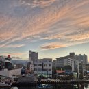 GS25 속초갯배점 이미지