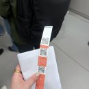 뉴욕3일차/ 써밋전망대, 초당골, 모마미술관, 자유의여신상무료페리, 안디아모피자, 뉴욕파이브가이즈