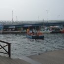 청호 갯배 이미지