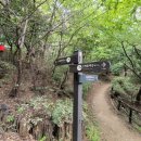 증산-004 이미지