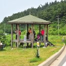 사구해수욕장2 이미지