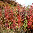 고령농장 이미지