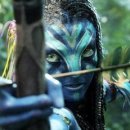 판도라의 숲 이미지