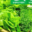 수경농원