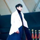 더 레오 핏 이미지