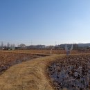 성호로8길 이미지