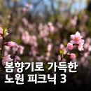 3439 | 불암산 산책부터 전시회까지! 봄날의 완벽한 감성 충전 코스
