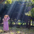 산림자원연구소 이미지