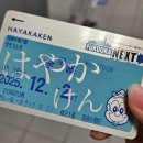 한국종합주방할인마트 | 교환생활 QnA(+교환학교로 후쿠오카대학을 고른 이유)