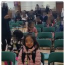 해드래 네이버블로그