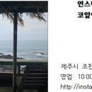 해난디아장 이미지