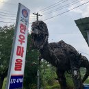 고당다한우마을 티스토리