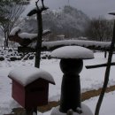 뜰과풍경 이미지