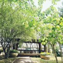 시니어빌리지요양원 이미지