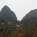 진안택시 이미지