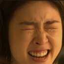 가식 - 제주시 | 가식