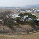 석탄정(石灘亭) 이미지