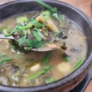 다슬기 | 영월역 맛집 동강다슬기 후기 백년가게 영월 여행 필수코스