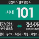 [경기시내버스] 선진버스 101번 버스 (김포보건소,사우역,장기역,누산리,하성,개곡리-갈산사거리,송마리...