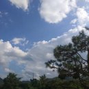 토탈정비 이미지