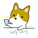 오해피댕 | 구미 강아지 케이크 오해피댕