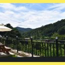 홍천욜로와 이미지