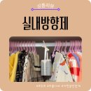차량용 방향제 르주르 퍼퓸사쉐로 집안 냄새 고민 해결! 옷장 탈취제 추천