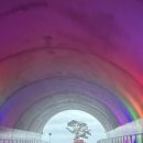 홍주야식 | [진도] 쏠비치 진도 2박3일 후기 - 올인클루시브 패키지 후기, 패밀리 스탠다드, 조식, 부대시설