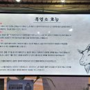 팔영산흑염소 이미지