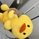 셀라왁싱 이미지